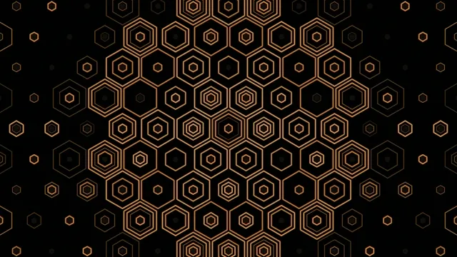 Patterns of hexagons on a black background create a striking design