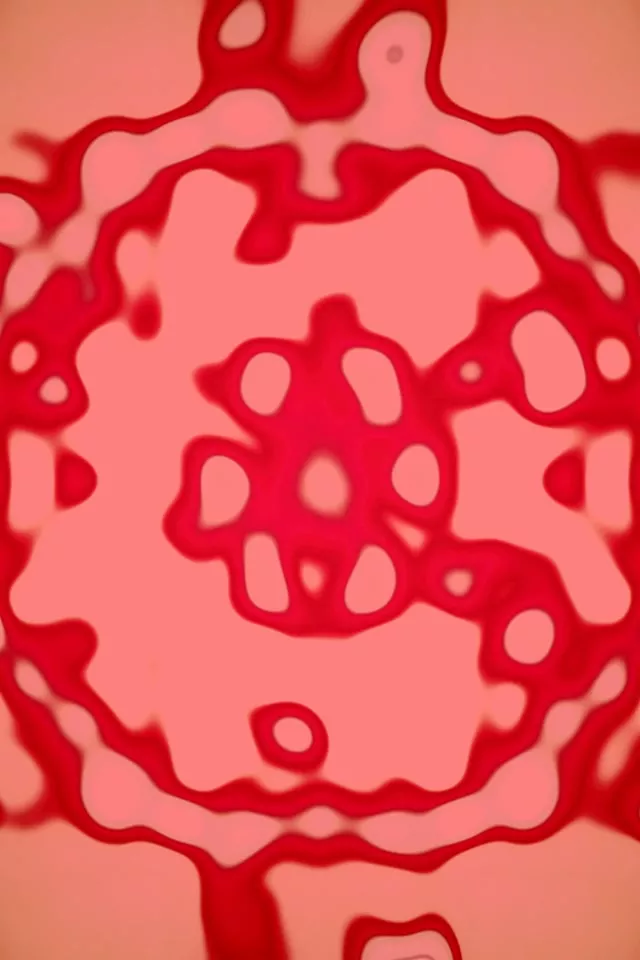 Neonski Tunel Rožnata Celica Cvet Vj Loop 2:3 Foto Pokončno 60fps Ohranjevalnik Zaslona