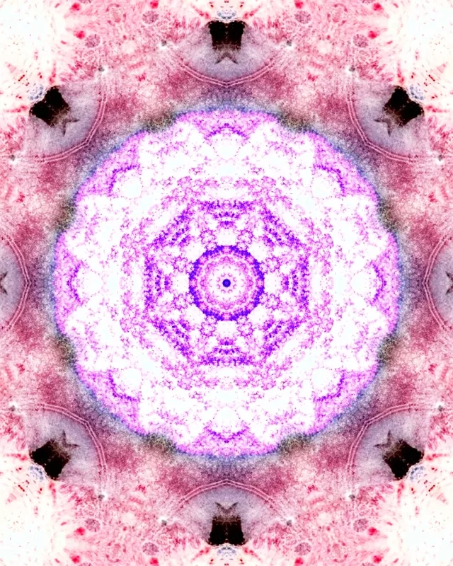 Túnel de Neón Rosa Púrpura Mandala Salvapantallas 60fps 4:5 Instagram VJ Loop