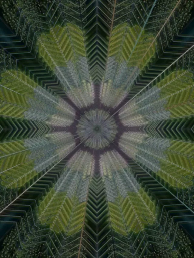 Radial Feather Neon Tunnel 3:4 iPad Portrait 60fps VJ Loop Screensaver