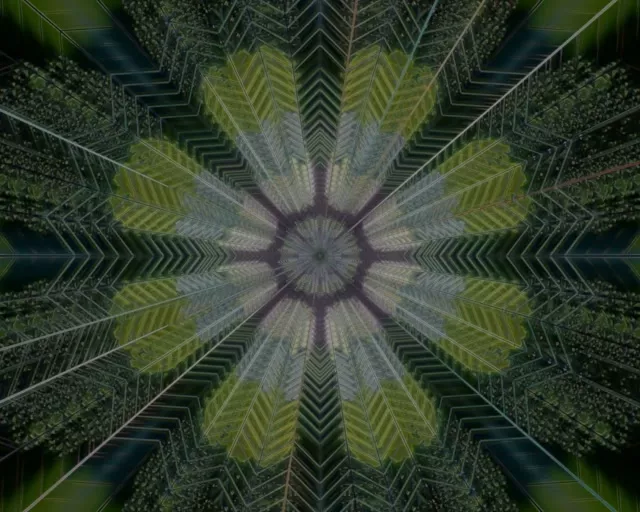 Radial Kaleidoscope Burst Neon Tunnel 5:4 Industrial 60fps VJ Loop Screensaver