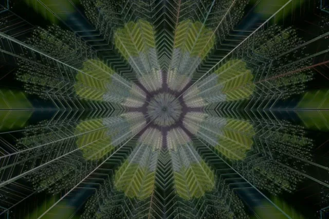 Radial Kaleidoscope Neon Tunnel VJ Loop 3:2 Surface 60fps Screensaver