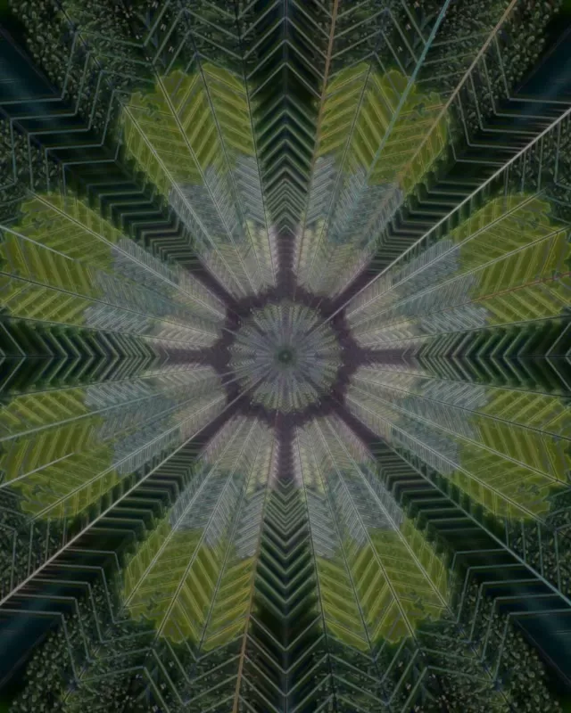 Radial Kaleidoscope Neon Tunnel | VJ Loop 60fps 4:5 Instagram Screensaver