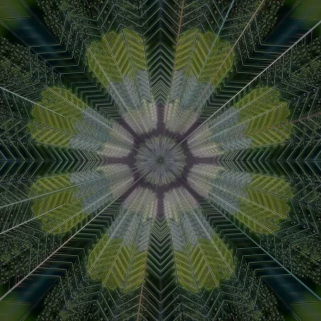 Radiant Kaleidoscope Neon Tunnel | 1:1 Square 60fps Screensaver VJ Loop