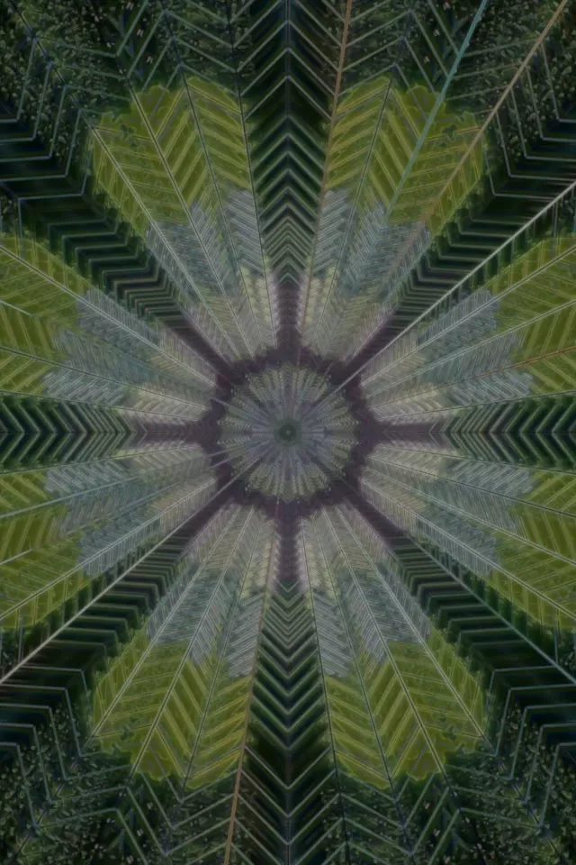Radiant Leafy Mandala Neon Tunnel | 2:3 Portrait 60fps VJ Loop Screensaver