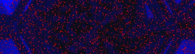 تونل نئون قرمز طوفان پیکسل 32:9 فوق عریض 60fps محافظ صفحه VJLoops