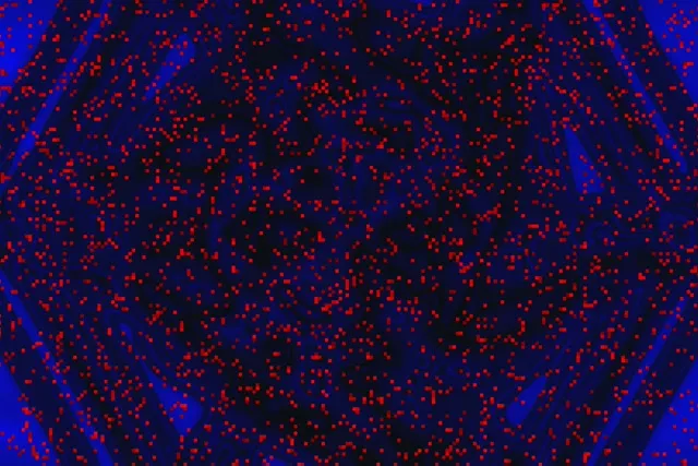 Neonski Predor Rdeči Pikselski Vrtinec 3:2 surface 60fps Ohranjevalnik Vj loop