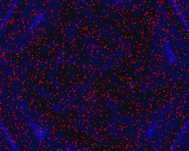 Túnel de Neó Espiral Píxel Vermell VJ Loop 5:4 Industrial 60fps Estalvi de Pantalla