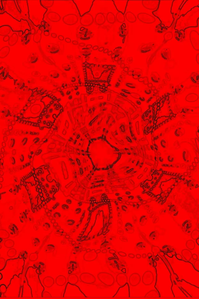 Rdeč Fraktalni Neonski Tunel Ohranjevalnik Zaslona 2:3 Foto Pokončno 60fps Vj Loop