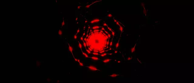 Red Pulsating Neon Tunnel 21:9 Ultrawide 60fps Screensaver VJ Loop