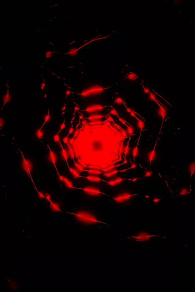 Red Neon Tunnel Octagon Vortex | 2:3 Portrait 60fps VJ Loop Screensaver