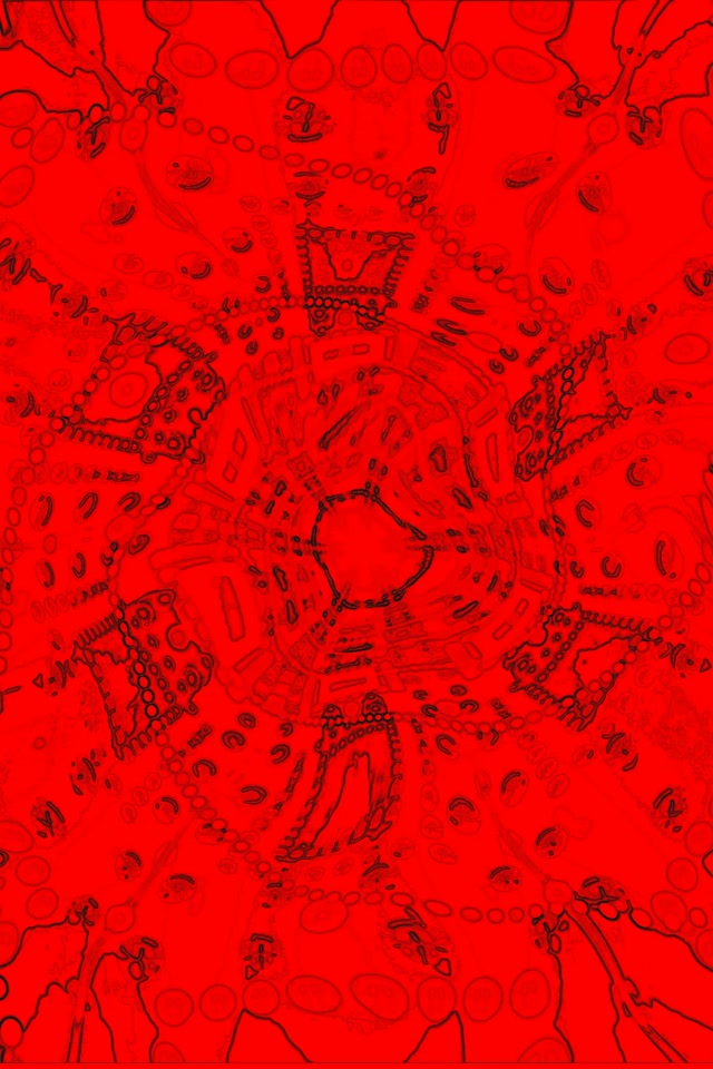 Tunnel Neon Frattale Rosso Screensaver 2:3 Photo Portrait 60fps Vj Loop