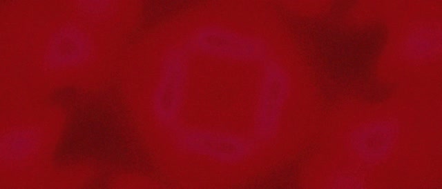 Tunnel Neon Viola Quadrato Vortice Vj Loop 21:9 Ultrawide 60fps Screensaver