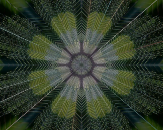 Radial Kaleidoscope Burst Neon Tunnel 5:4 Industrial 60fps VJ Loop Screensaver