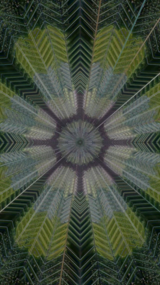 Kaleidoscope Neon Tunnel 9:16 Reels 60fps Screensaver VJ Loop