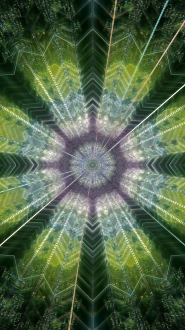 Kaleidoscope Neon Tunnel 9:16 Reels 60fps VJ Loop Screensaver