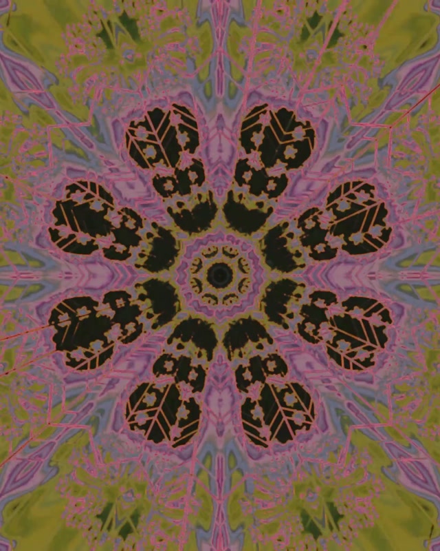 Neon Tunnel Kaleidoscope Floral Burst VJ Loop 4:5 Instagram 60fps Ekrano užraktis