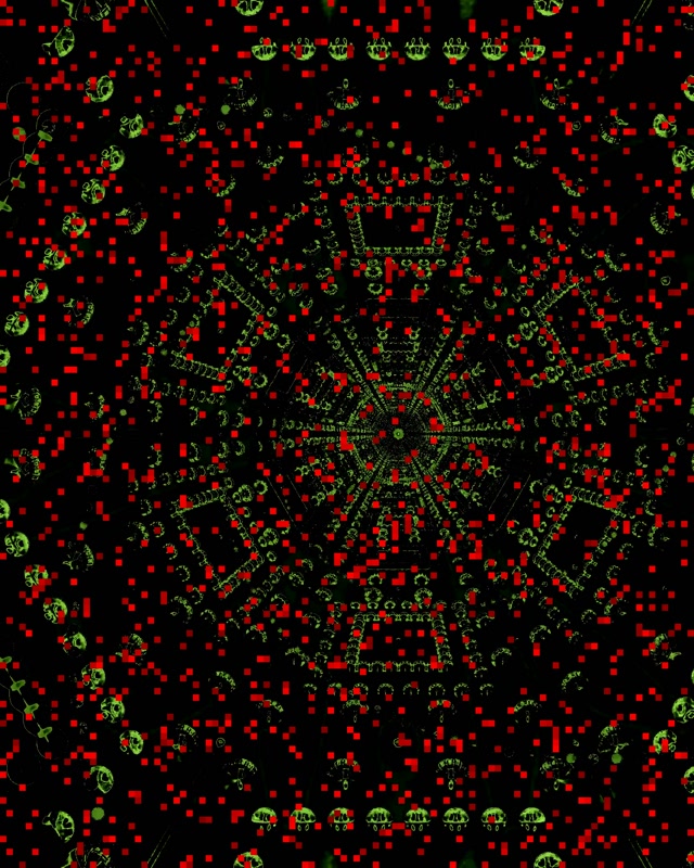 Neon Tunnel Rood Hex Grid Vj Loop 4:5 Instagram 60fps Screensaver