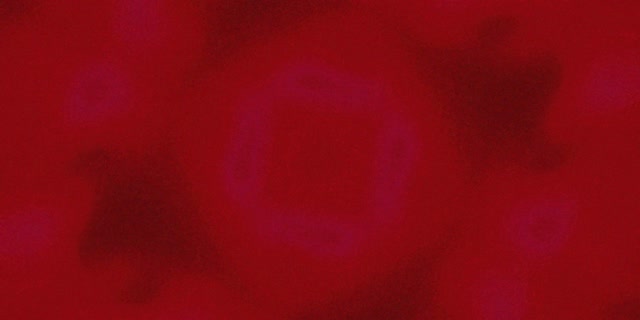 Neon Tunnel Paars Vierkant Vortex Vj Loop 2:1 Univisium 60fps Schermbeveiliging