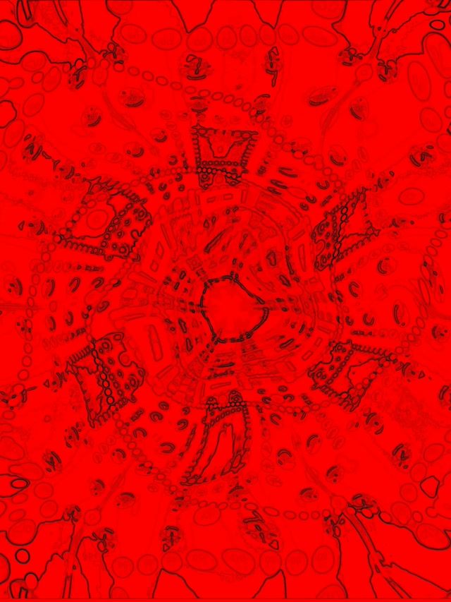 Mandala Fractal Vermelha Túnel Neon VJ Loop 3:4 iPad Portrait 60fps Proteção de Tela