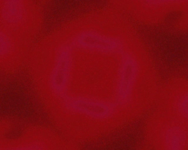 Túnel Neon Roxo Quadrado Giratório Vórtice VJ Loop 5:4 industrial 60fps proteção de tela