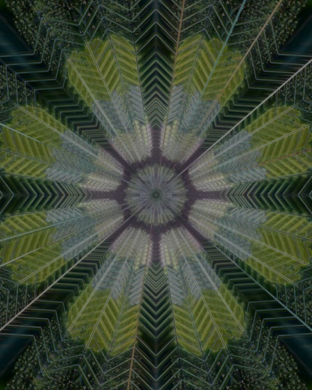 Radial Kaleidoscope Neon Tunnel | VJ Loop 60fps 4:5 Instagram Screensaver