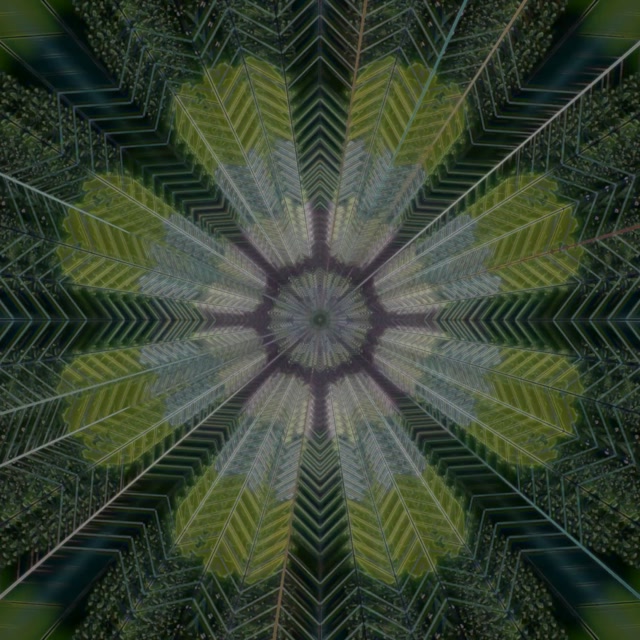 Radiant Kaleidoscope Neon Tunnel | 1:1 Square 60fps Screensaver VJ Loop