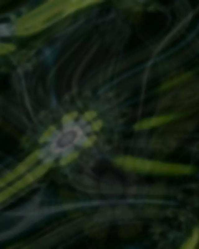 Neon Tunnel Vj Loop 4:5 Instagram 60fps Screensaver Swirling Green Vortex