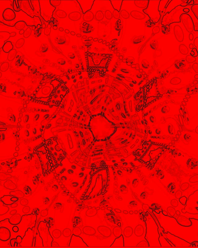 Neon Tunnel Pulang Kaleidoscope VJLoops 4:5 Instagram 60fps Screensaver