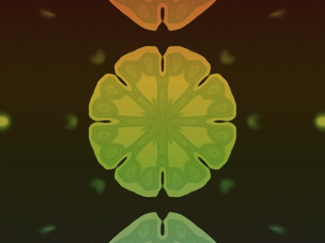 Neon Tunnel Fractal Mandala Burst 4:3 Classic 60fps Screensaver VJ Loop