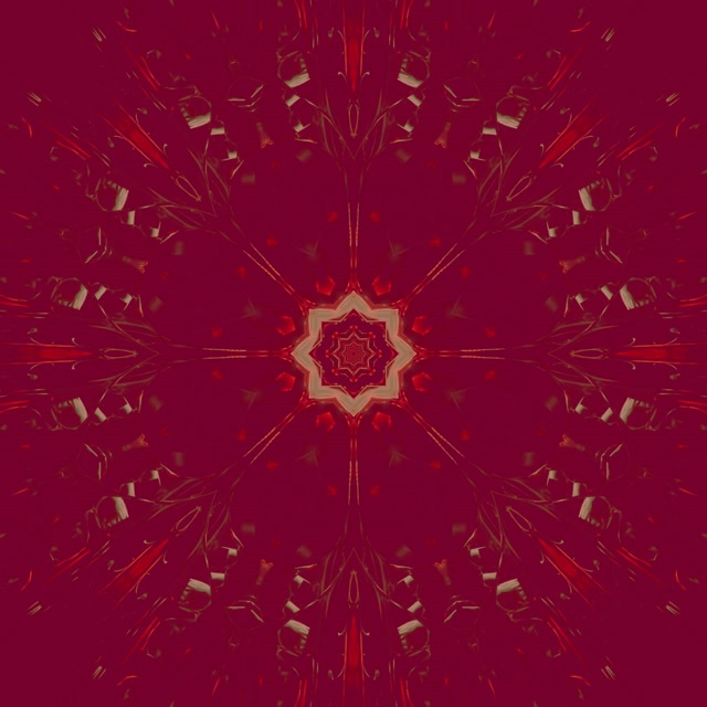 Neon Tünel Kaleidoskop Yıldız Patlaması Mor Kırmızı VJ Loop 1:1 Square 60fps Ekran Koruyucu