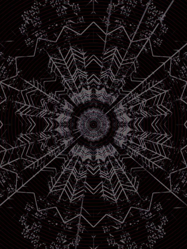 Karanlık Fraktal Mandala Neon Tunnel Ekran Koruyucu 3:4 iPad Portre 60fps VJ Loop