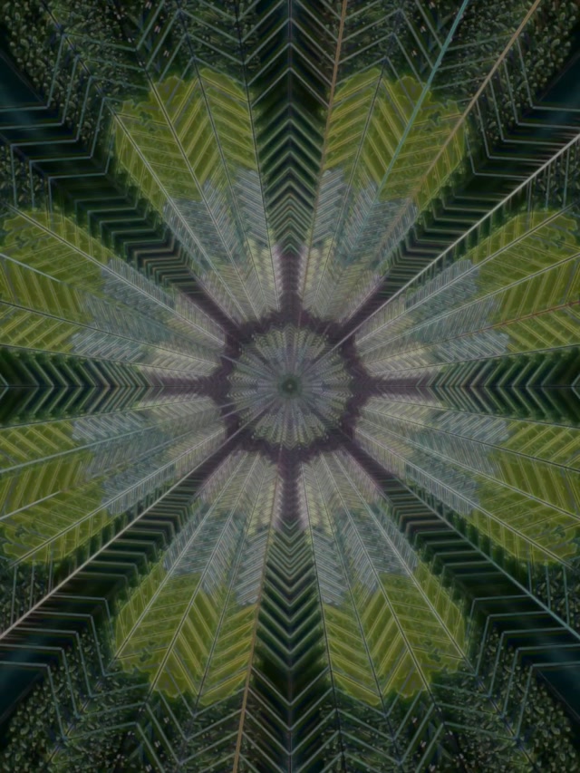 Radial Feather Neon Tunnel 3:4 iPad Portrait 60fps VJ Loop Screensaver