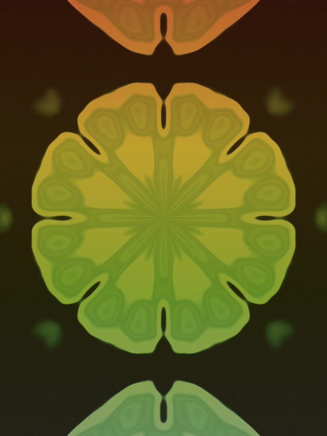 Neon Tünel Fraktal Kaleidoskop Patlama 3:4 iPad Portre 60fps Ekran Koruyucu Vj Loop